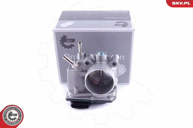 Throttle Body